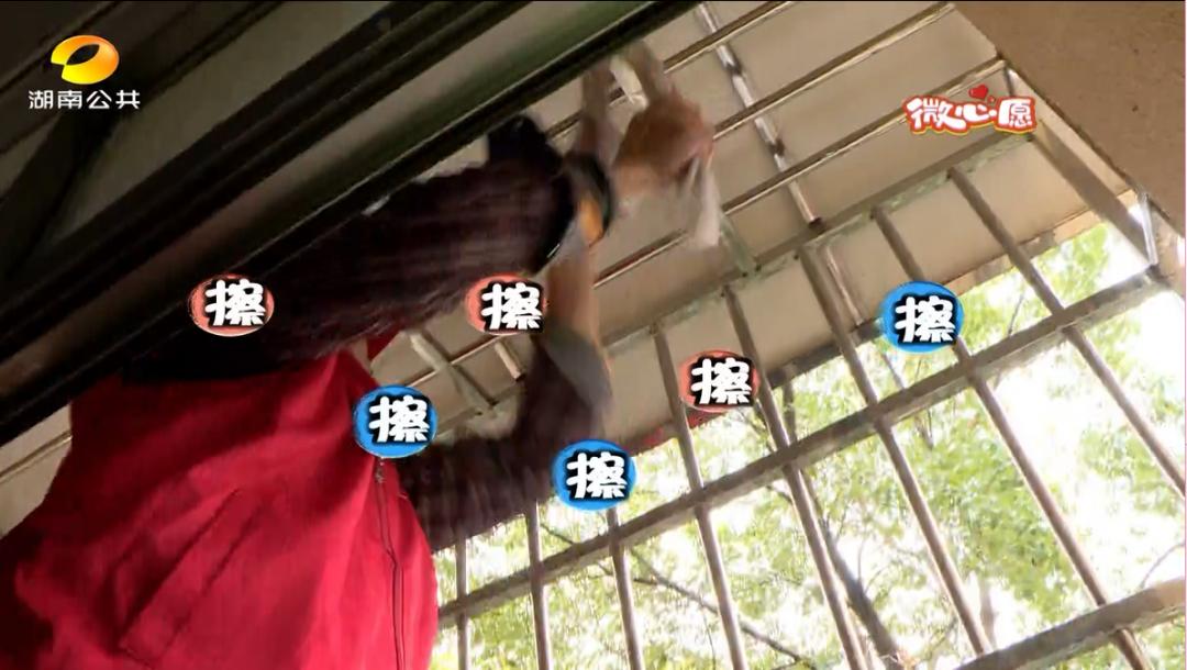 DƬ